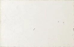 59" Manhattan Outdoor Fireplace W/ Mirror Stainless Steel Liner -Electric Radiators Direct 1 448 1