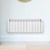 Haverland RCBL Conservatory Electric Radiators